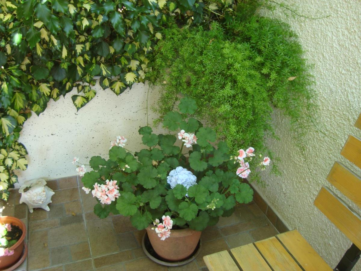 Studio Apartment Lile Trstenik  Exterior photo