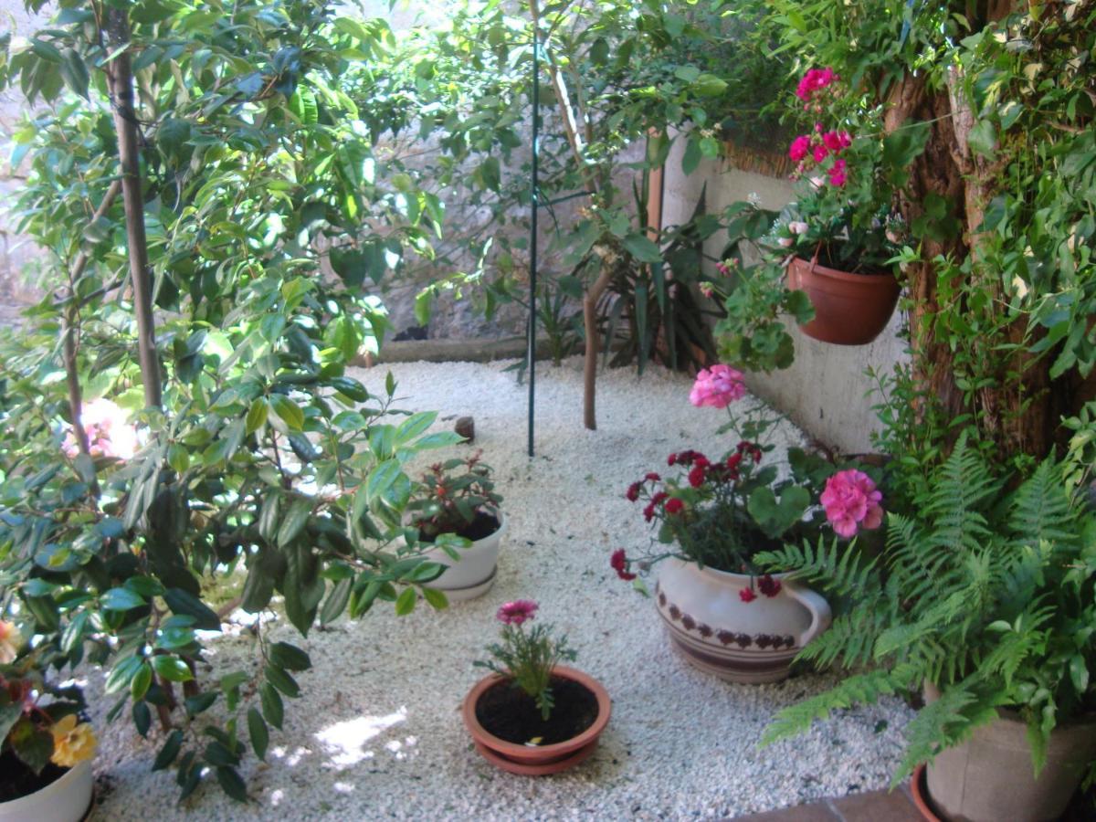 Studio Apartment Lile Trstenik  Exterior photo