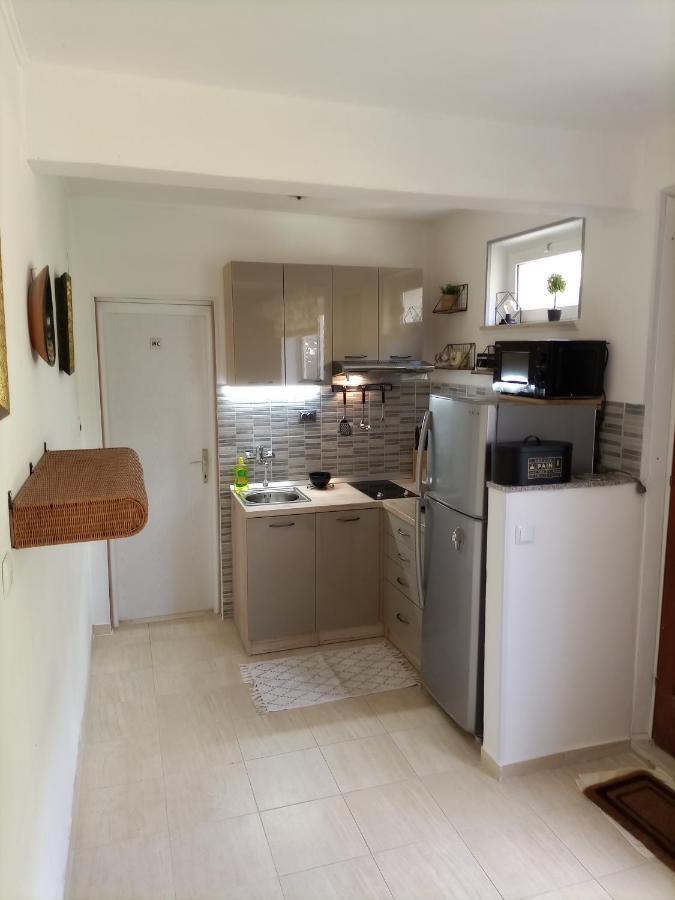 Studio Apartment Lile Trstenik  Exterior photo